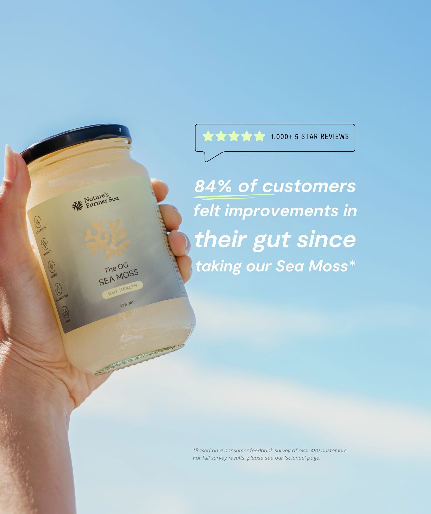 Sea Moss Gel - The OG