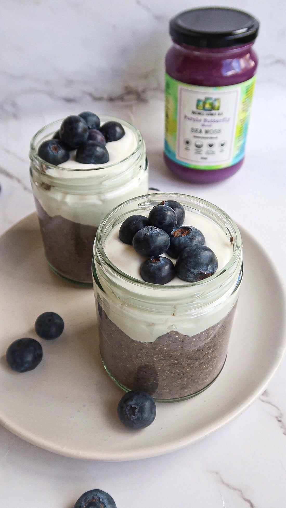 Blended Blueberry Chia Pudding-Natures Farmer Sea