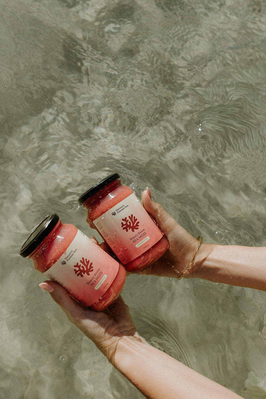 Sea Moss & Gut Health: The Prebiotic Power of Eucheuma Cottonii