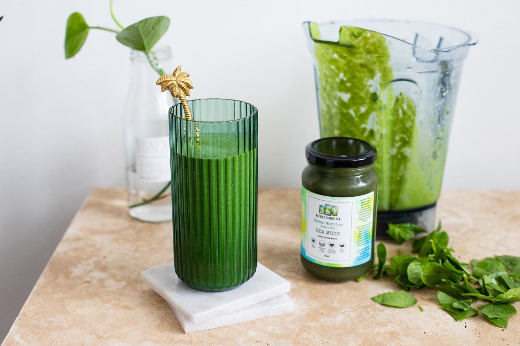 Green Warrior Smoothie