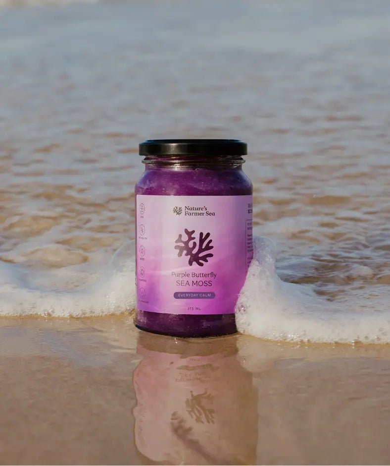 Purple Sea Moss - Natures Farmer Sea - Purple Butterfly