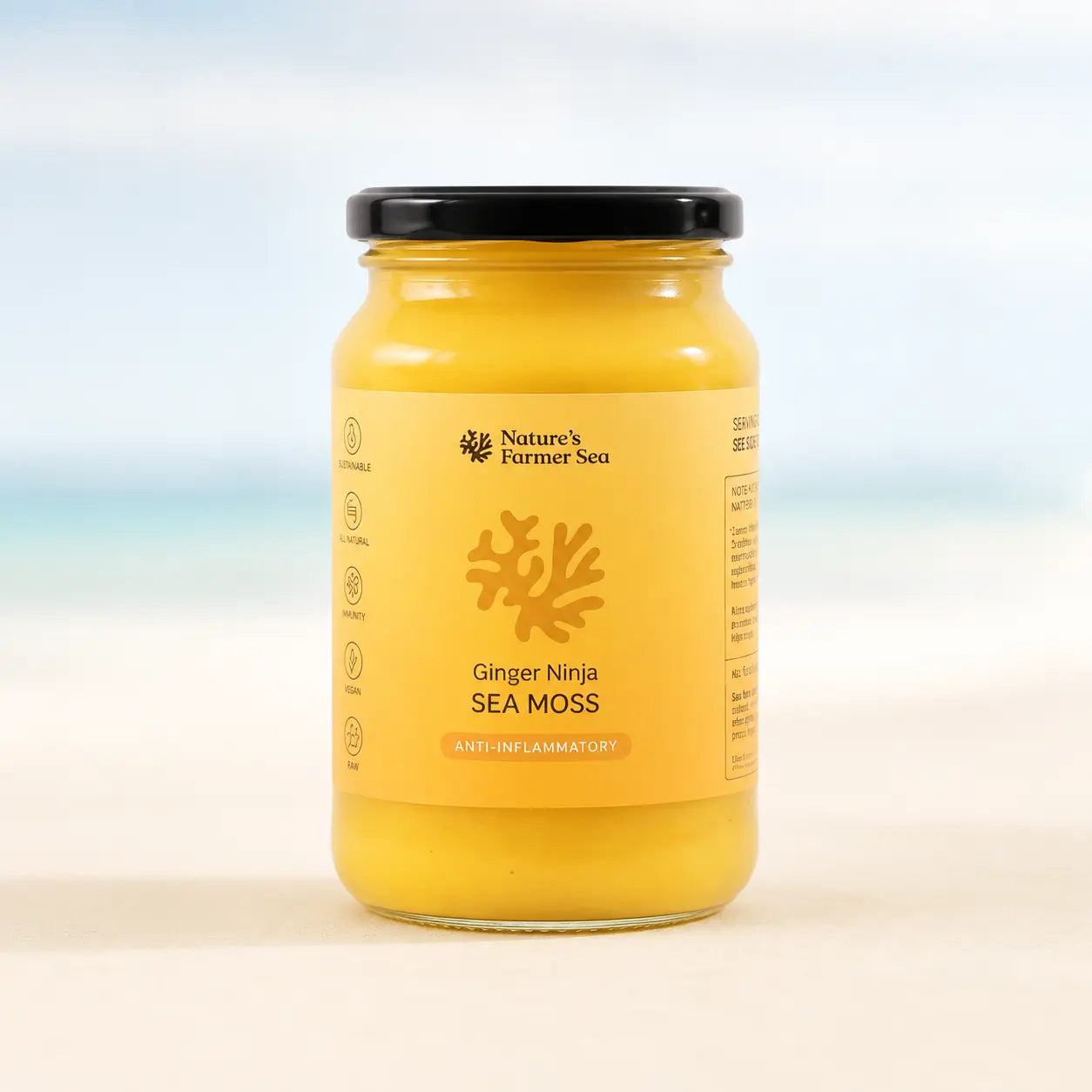 Sea Moss Gel - Ginger Ninja