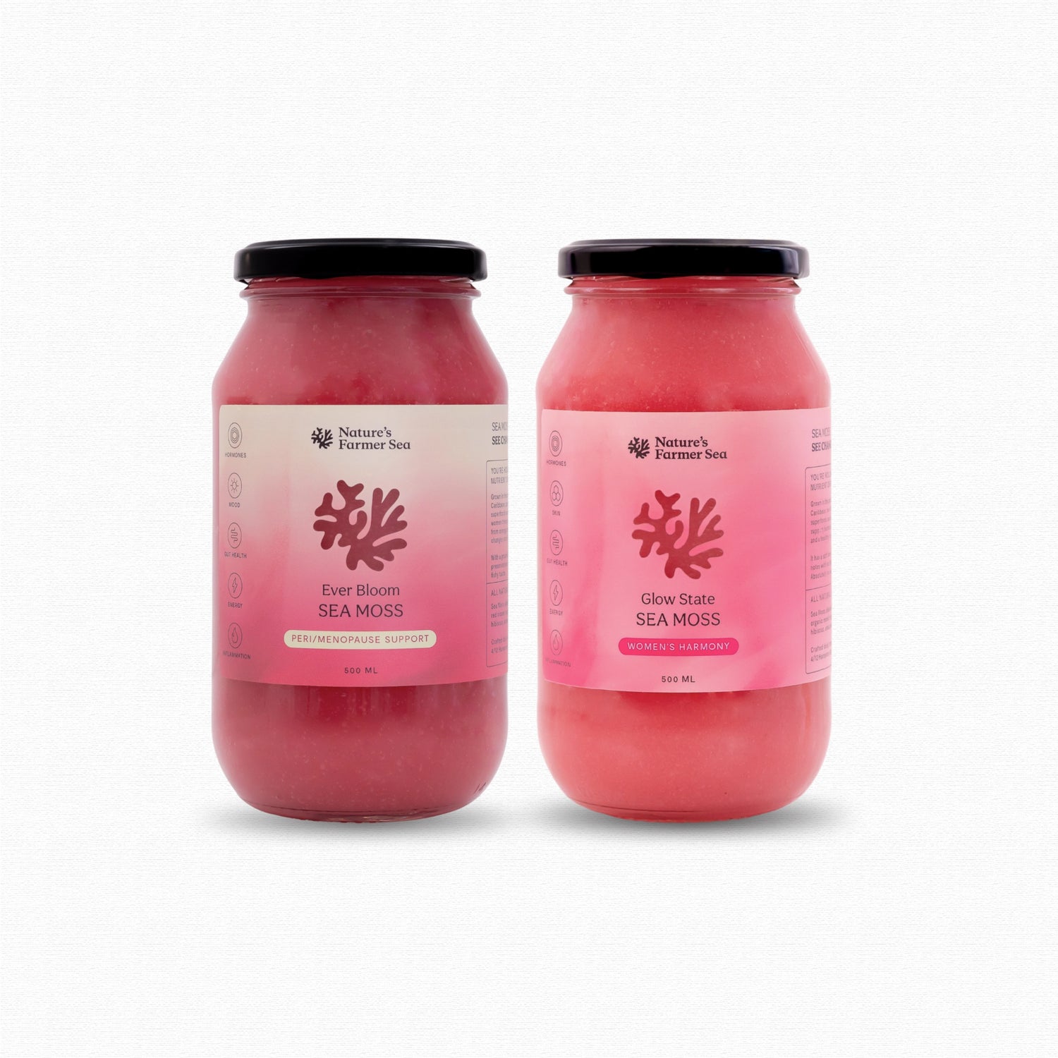 Women’s Wellness Duo