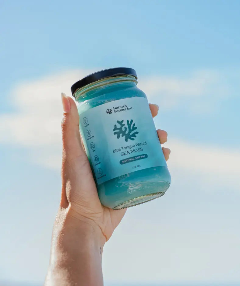 Sea Moss Gel - Blue Tongue Wizard
