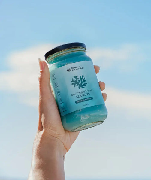 Blue Sea Moss Gel - Nature's Farmer Sea - Blue Tongue Wizard