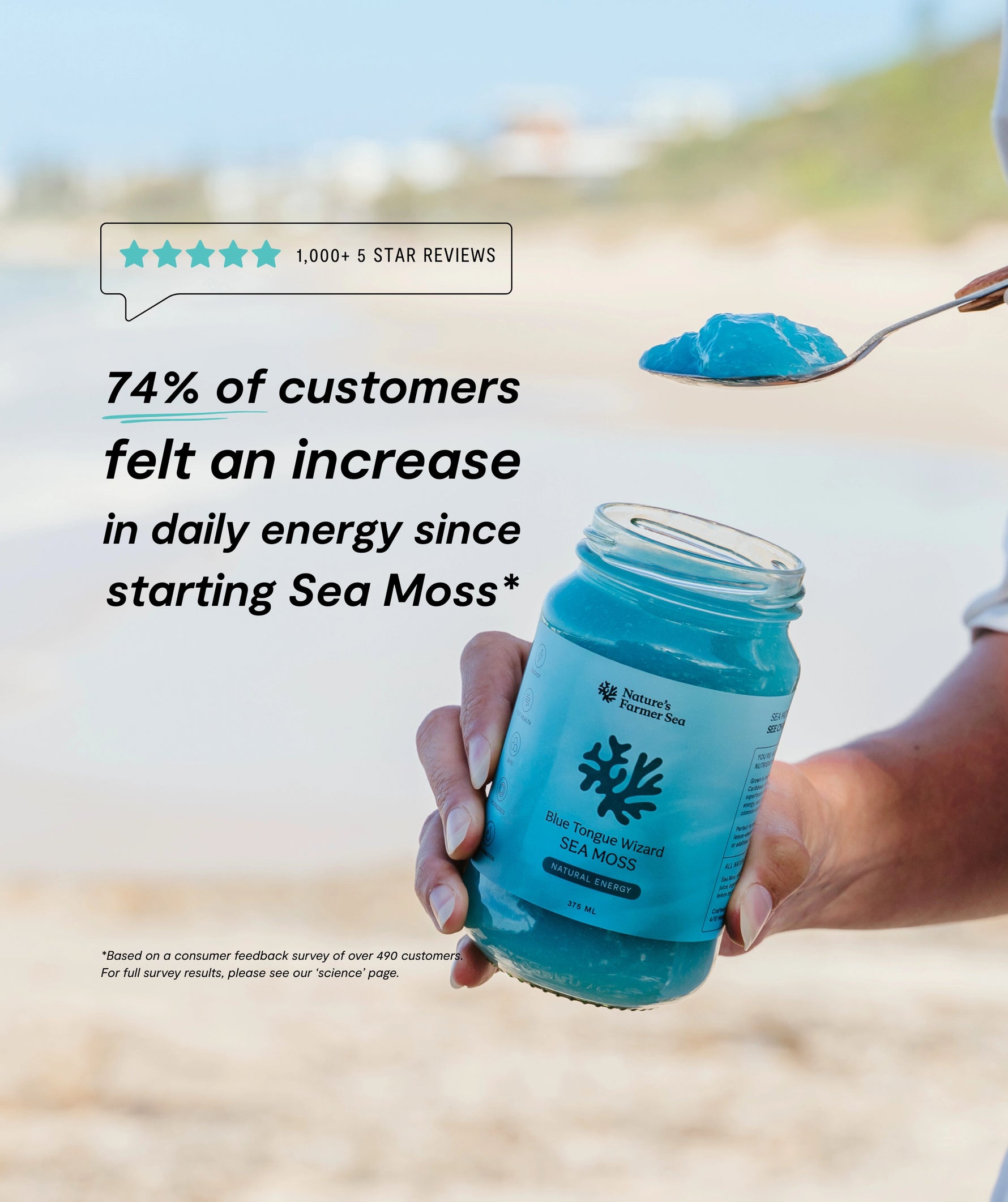 Sea Moss Gel - Blue Tongue Wizard (500ml)-Natures Farmer Sea