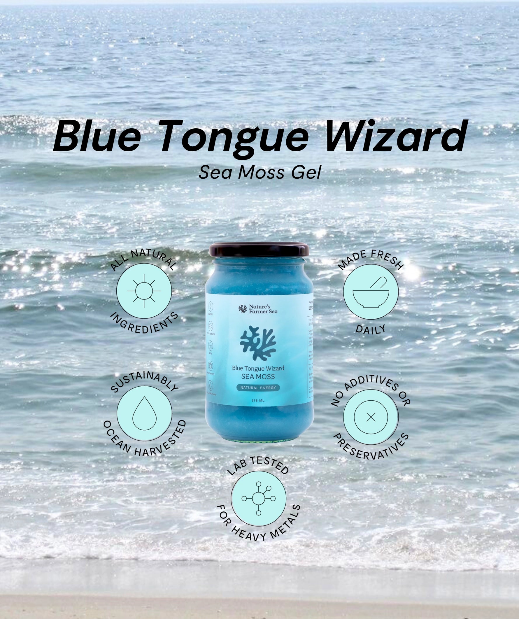 Sea Moss Gel - Blue Tongue Wizard (500ml)-Natures Farmer Sea