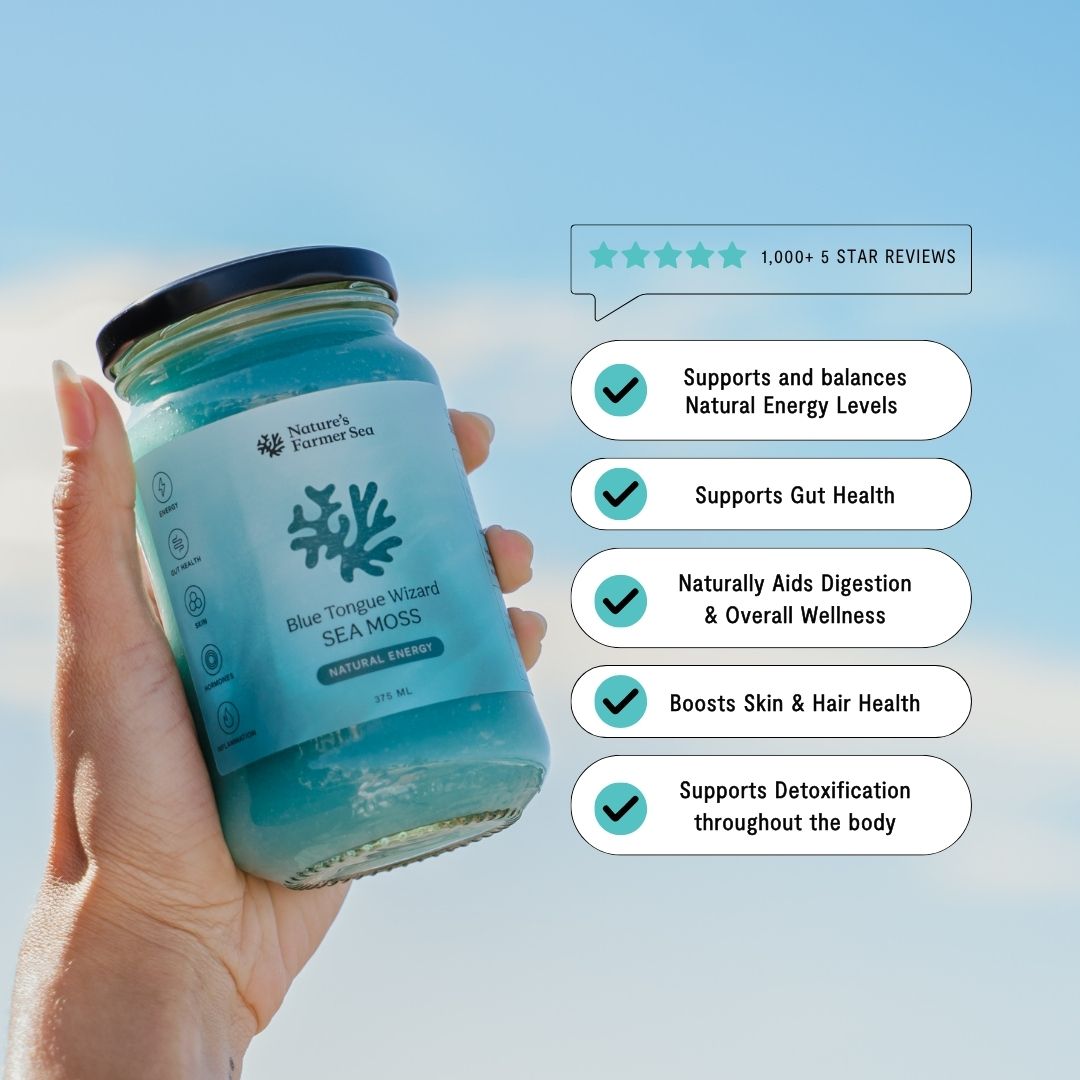 Sea Moss Gel - Blue Tongue Wizard (500ml)-Natures Farmer Sea