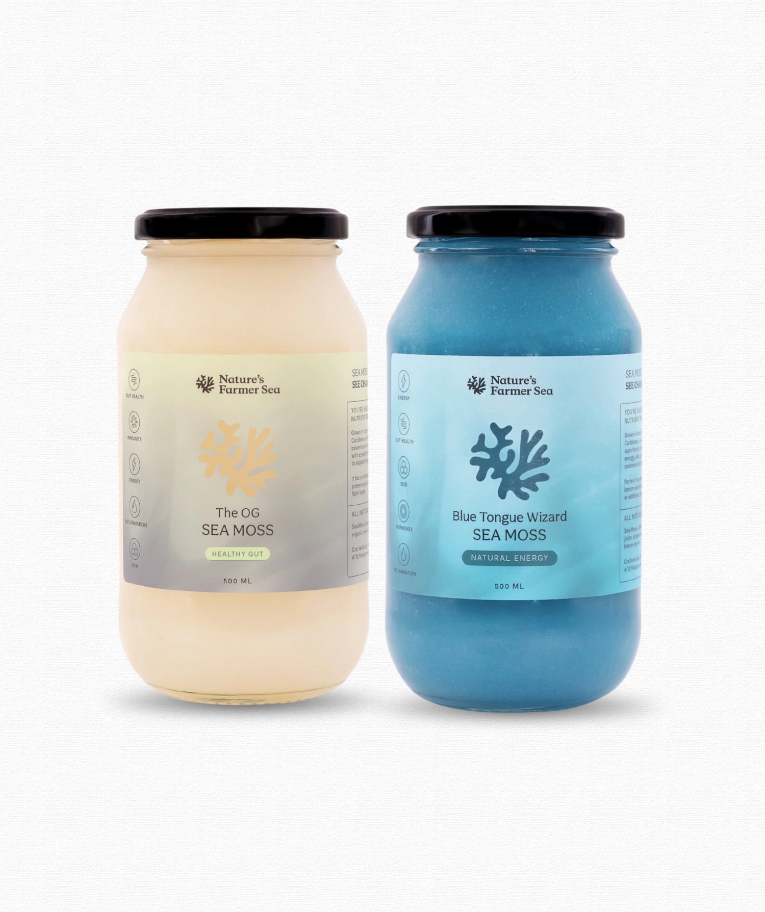 OG + Blue Tongue Wizard 500ml