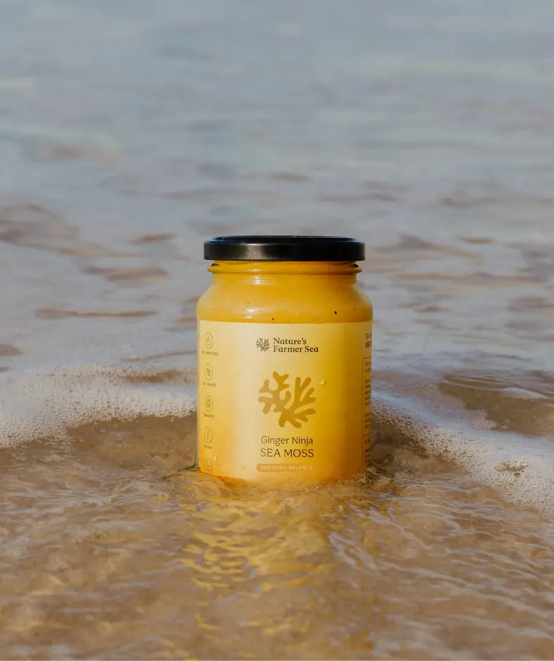 Sea Moss Gel: Ginger Ninja - Nature's Farmer Sea
