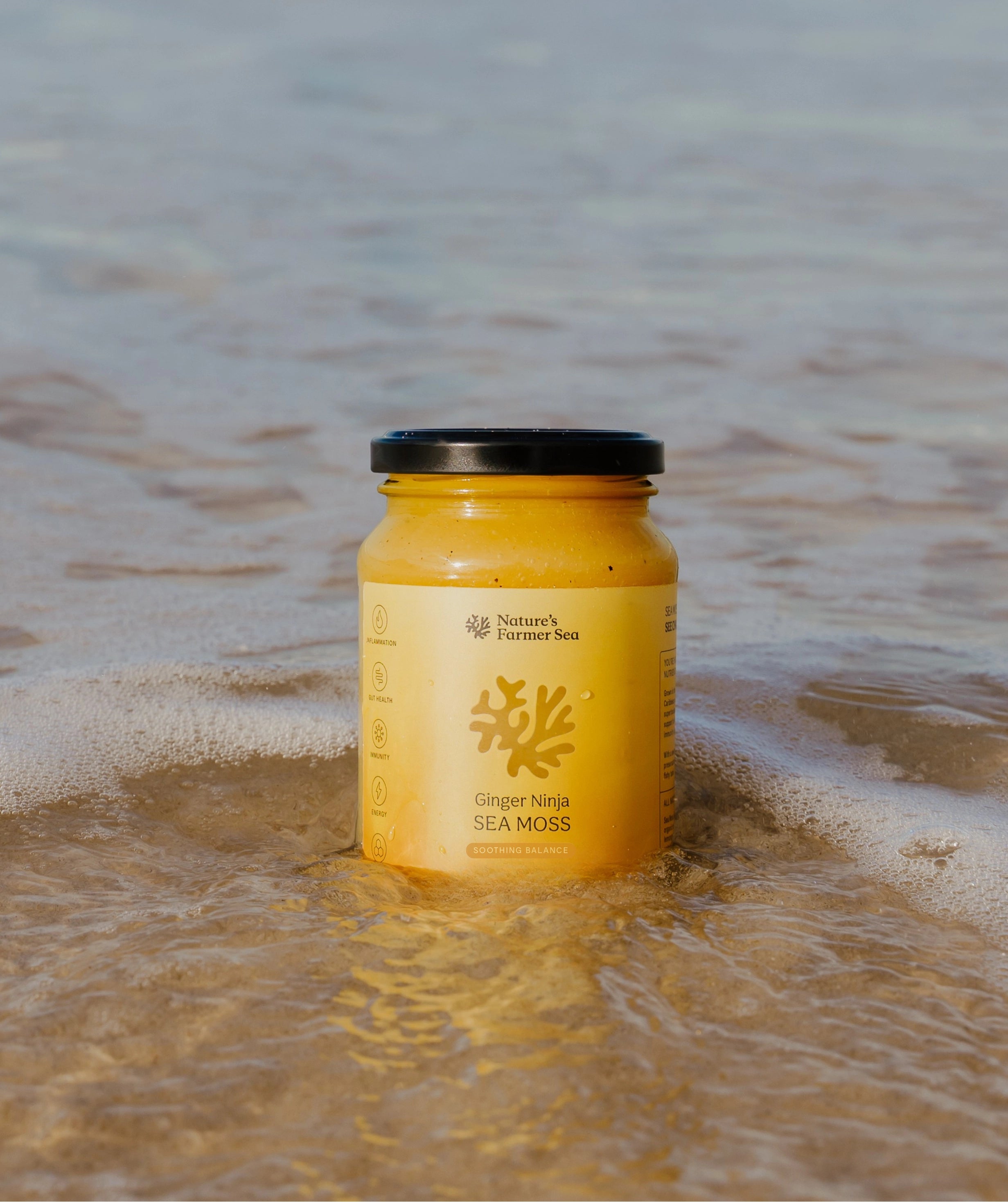 Sea Moss Gel: Ginger Ninja for Wellness and Vitality