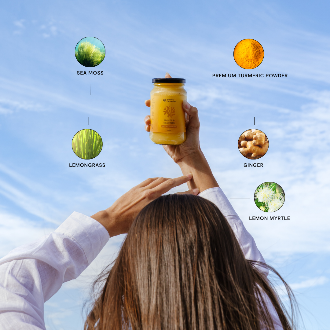 Sea Moss Gel: Ginger Ninja - Nature's Farmer Sea Sea Moss Gel: Ginger Ninja - Nature's Farmer Sea