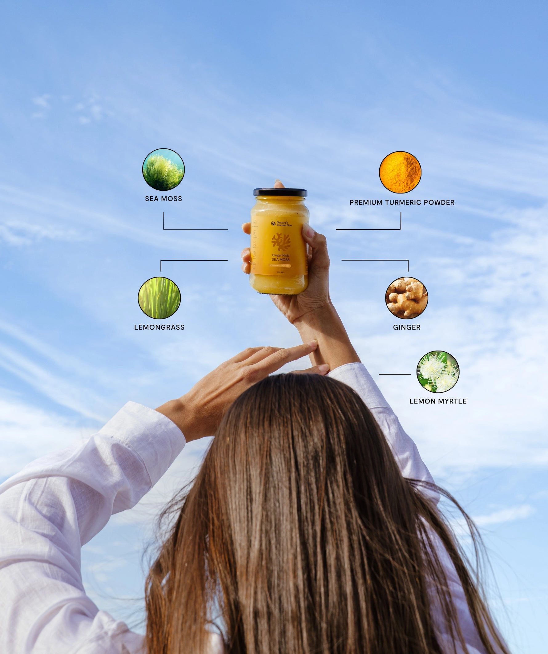 Sea Moss Gel - Ginger Ninja (500ml)-Natures Farmer Sea