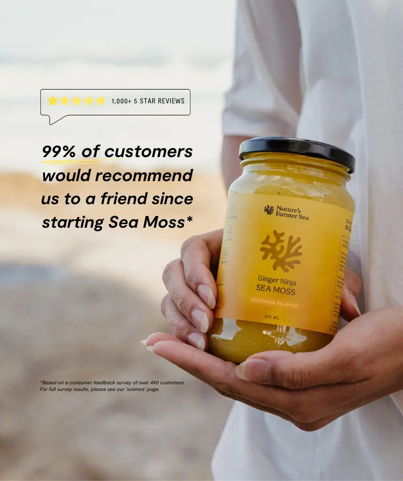 Sea Moss Gel: Ginger Ninja - Nature's Farmer Sea Sea Moss Gel: Ginger Ninja - Nature's Farmer Sea