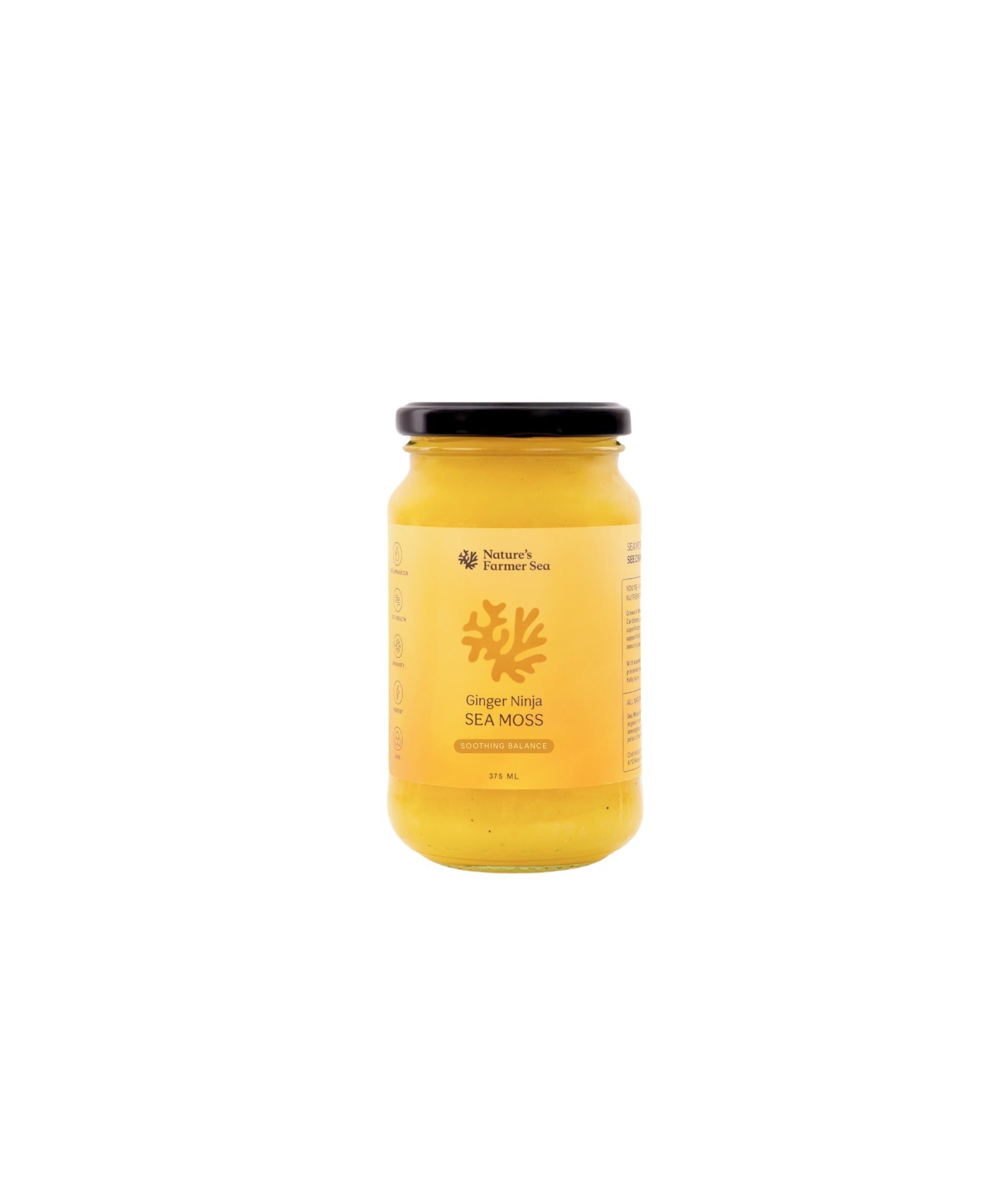 Sea Moss Gel: Ginger Ninja for Wellness and Vitality