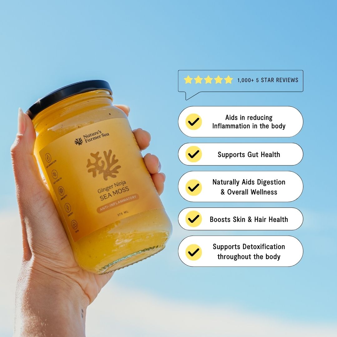 Sea Moss Gel - Ginger Ninja (500ml)-Natures Farmer Sea