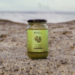 Sea Moss Gel - Green Warrior (375ml)-Natures Farmer Sea