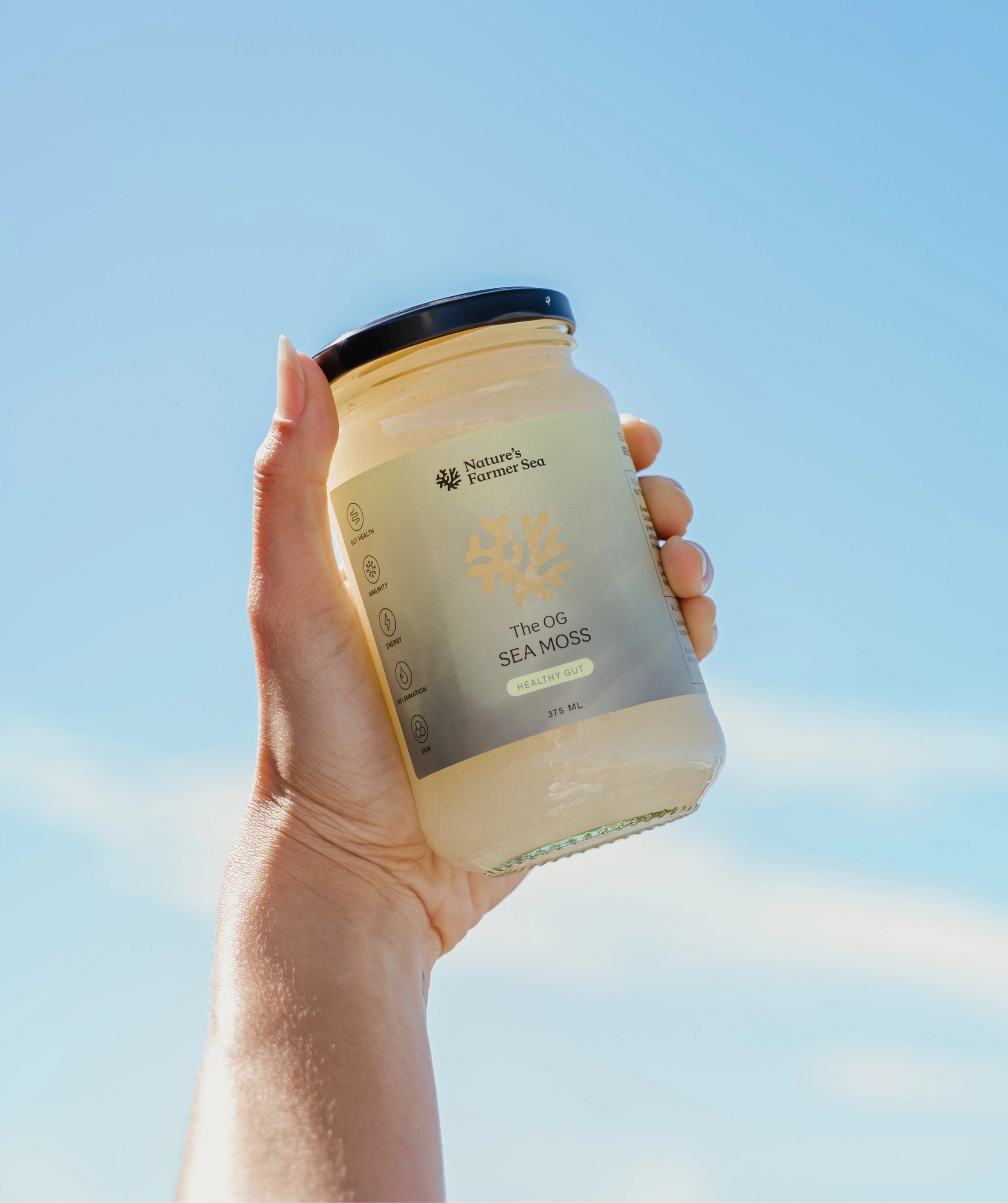 Sea Moss Gel - The OG (500ml)-Natures Farmer Sea