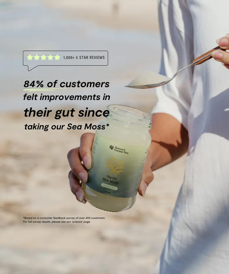 Sea Moss Gel - The OG