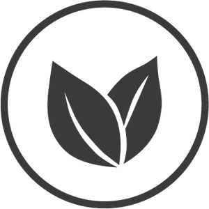 Plant_based_75c05871-e964-4fad-90ef-db7d65c87c6d