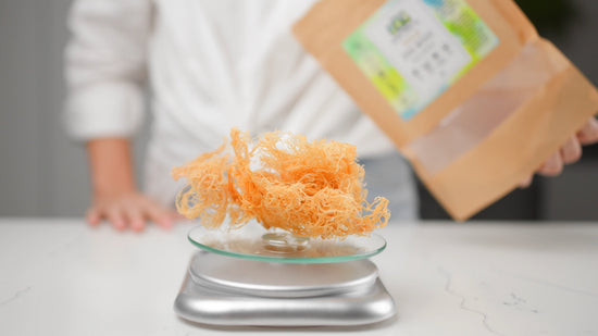 Benefits Of Sea Moss- Natures Farmer Sea